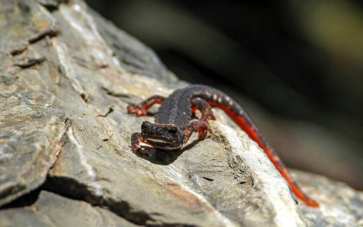 1755824 (a): :1920x1200